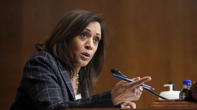 Poll Shows Kamala Harris Overwhelmingly Likely to Be the Next Democratic Presidential Nominee